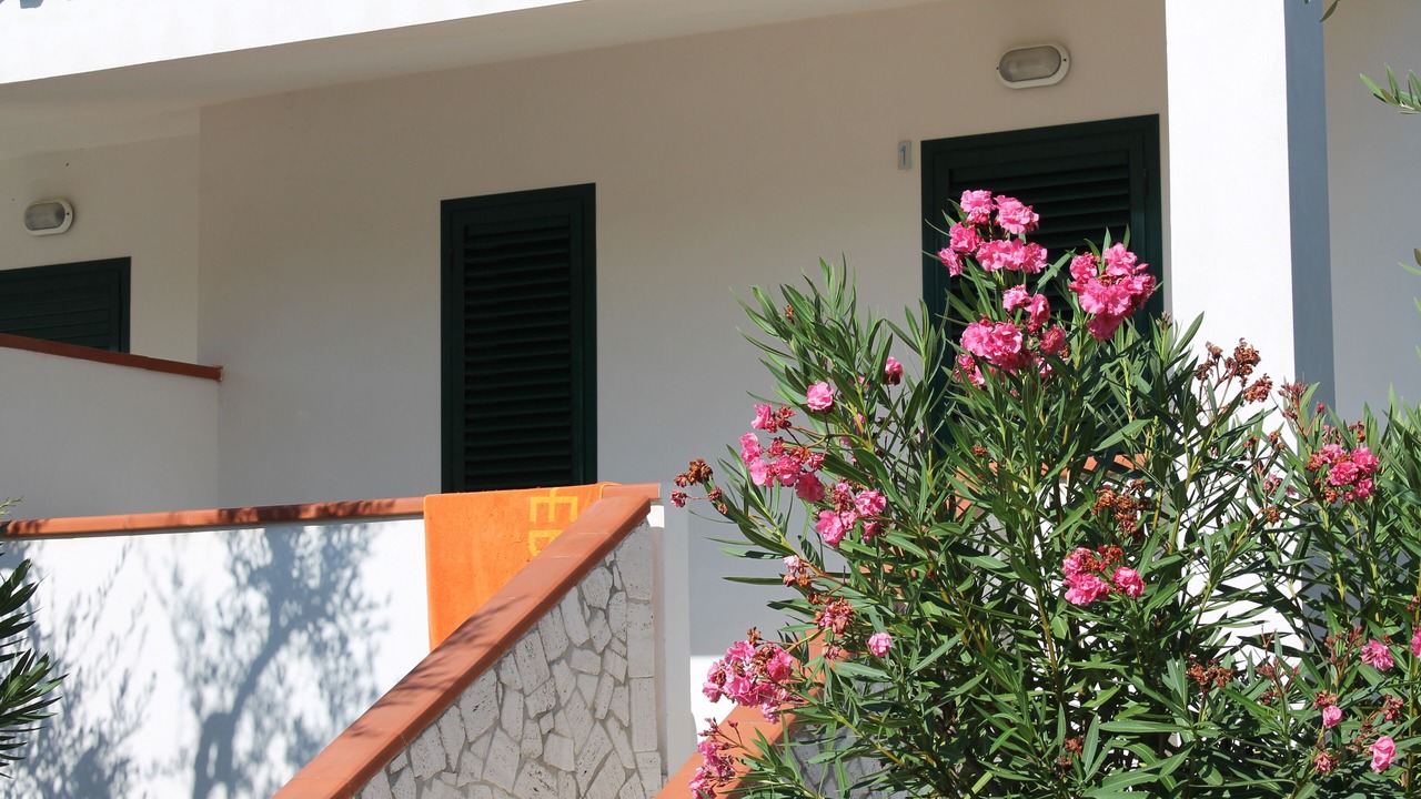 Photo of Outdoor in Montincello