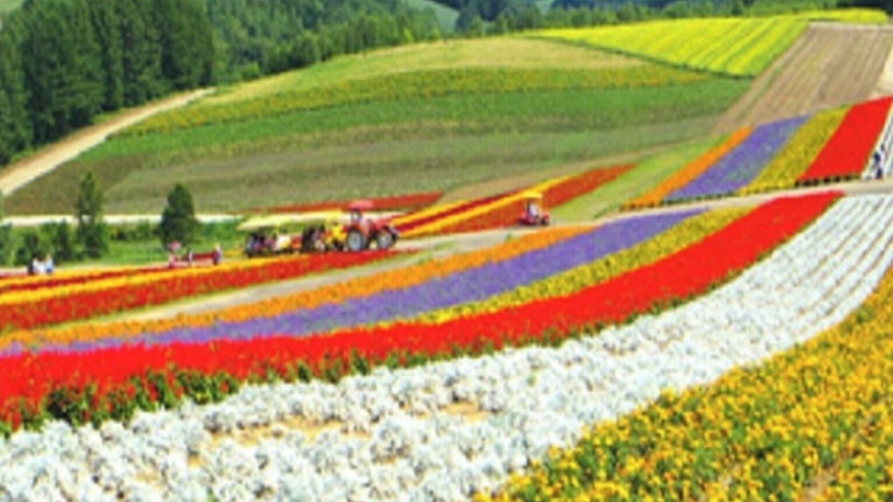 Photo of Outdoor in Asahikawa