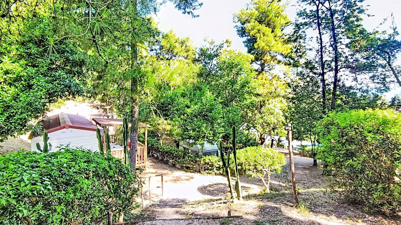 Photo of Outdoor in Vico del Gargano
