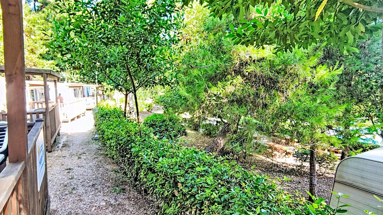 Photo of Others in Vico del Gargano