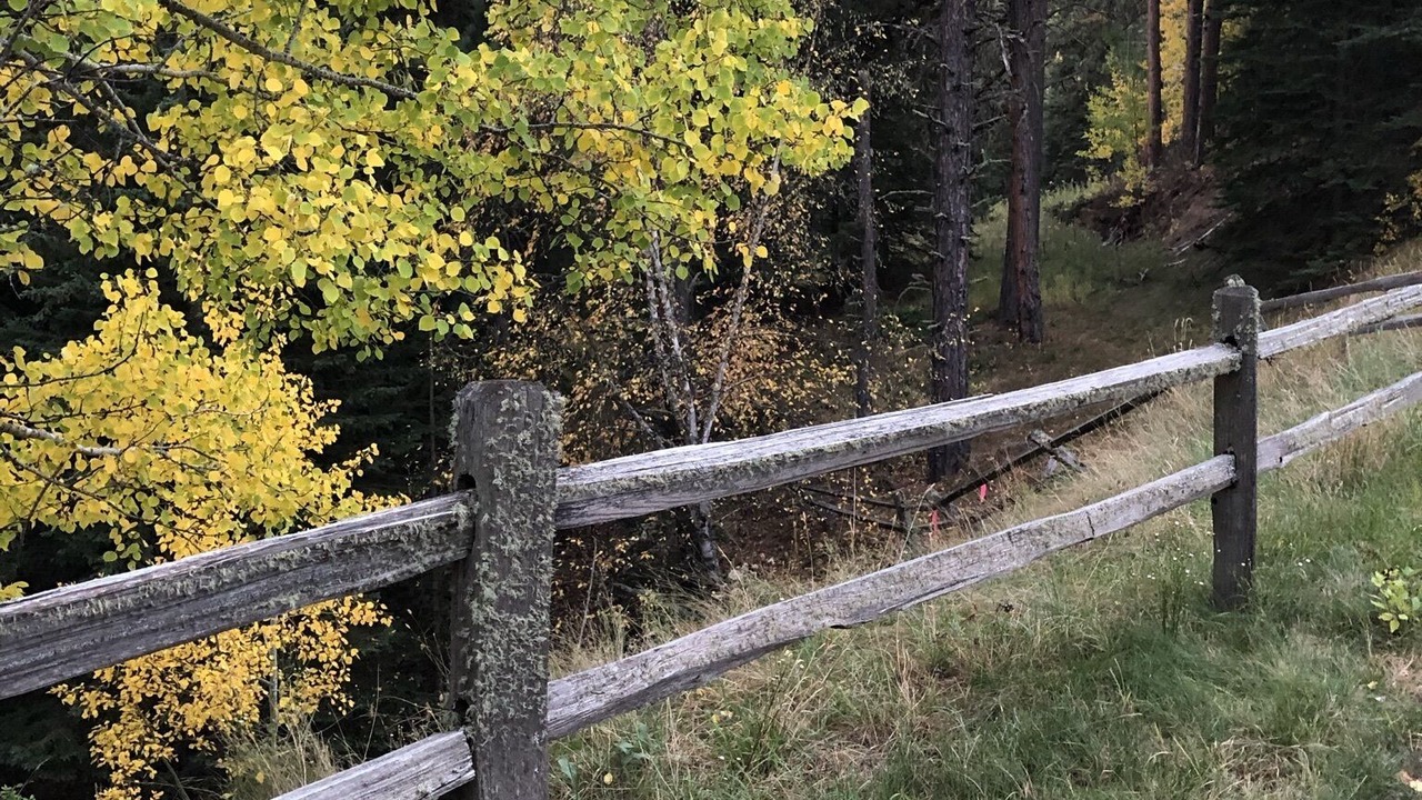 Photo of Outdoor in Deadwood