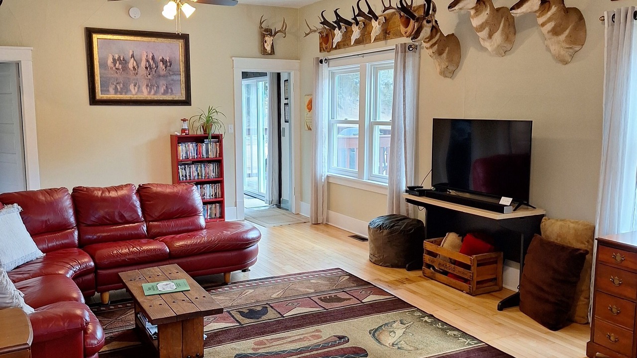 Photo of Livingroom in Nemo