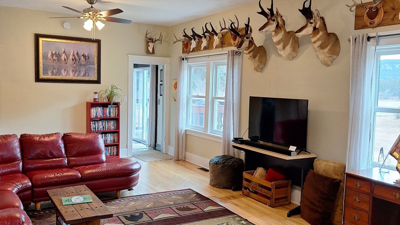 Photo of Livingroom in Nemo