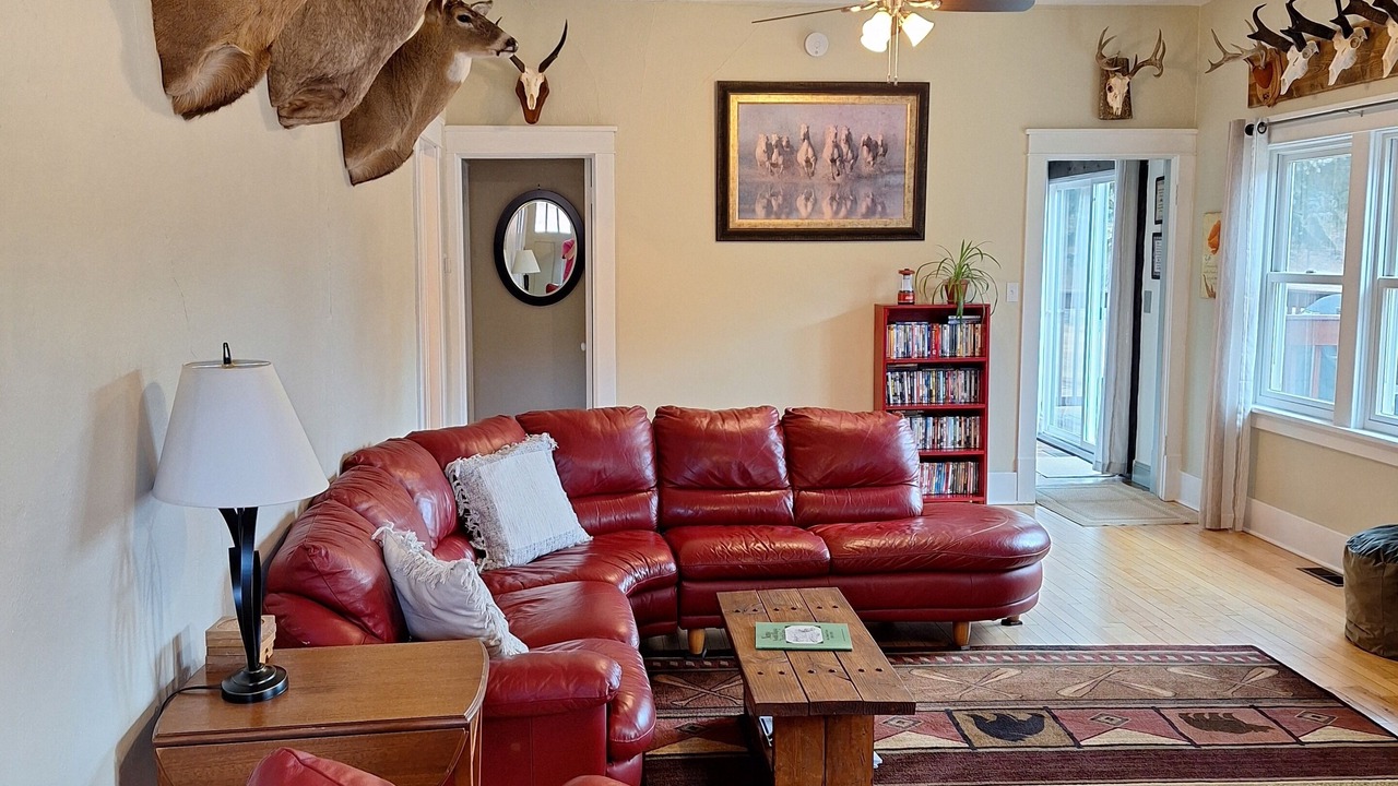 Photo of Livingroom in Nemo