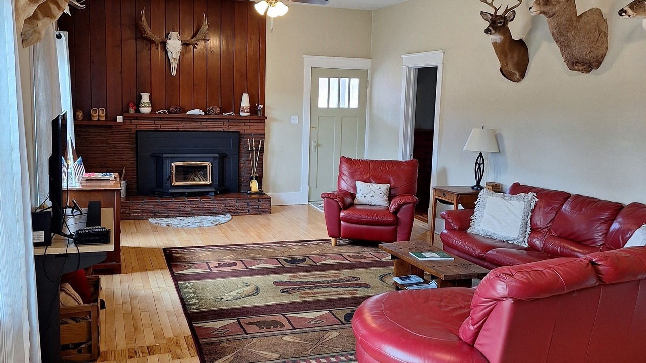 Photo of Livingroom in Nemo