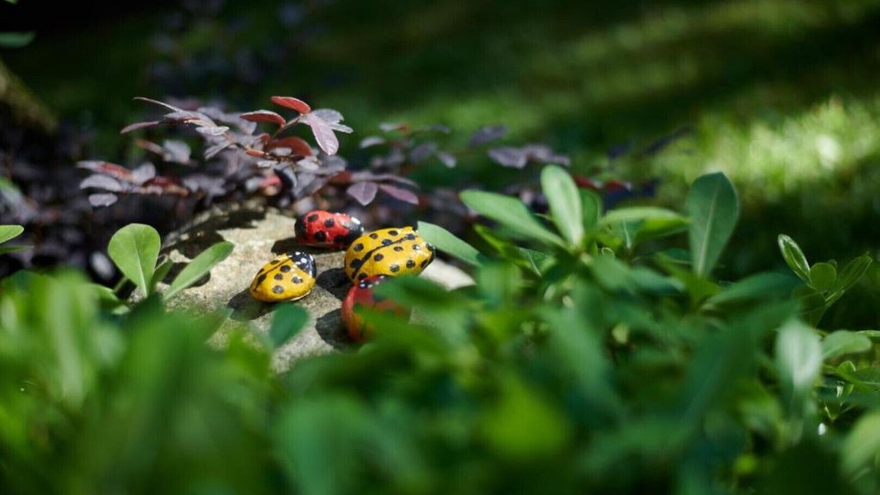 Photo of Outdoor in Cassone