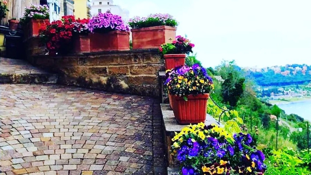 Photo of Outdoor in Castel Gandolfo