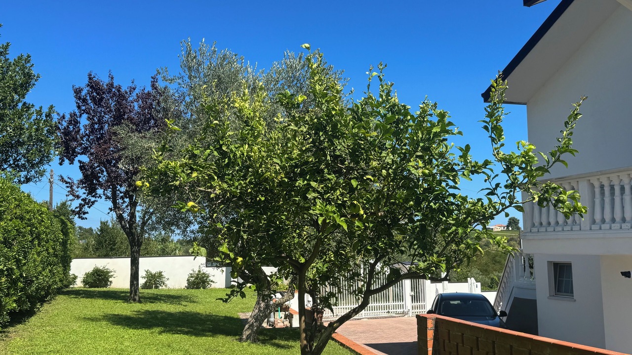 Photo of Outdoor in Ortona