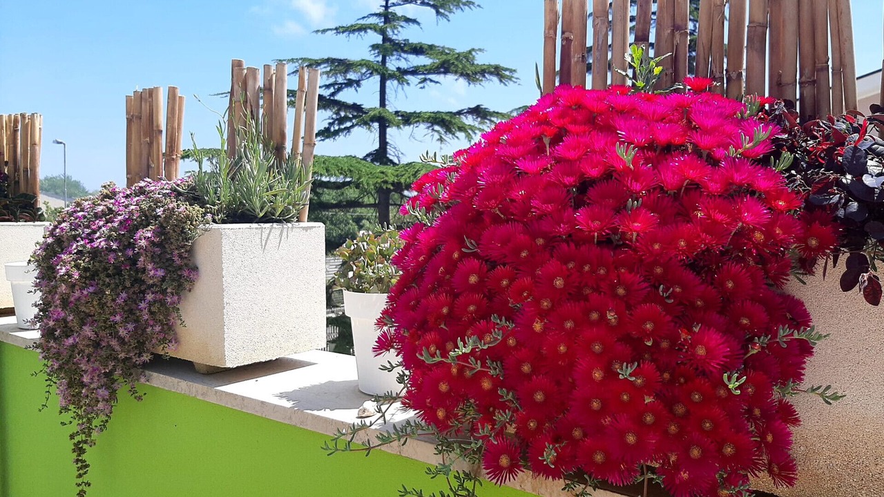 Photo of Outdoor in Pescara