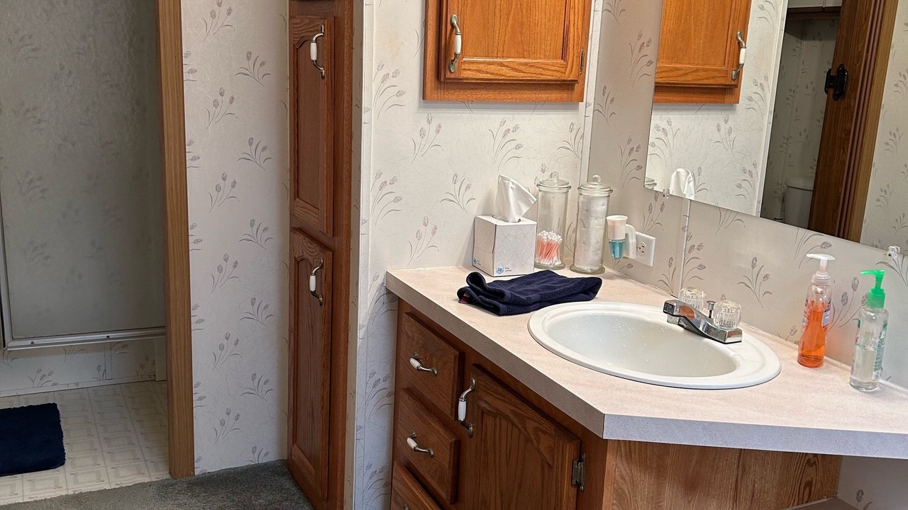 Photo of Bathroom in Hamlin County
