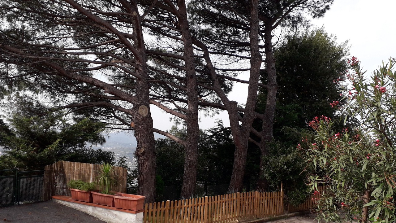 Photo of Outdoor in Naples