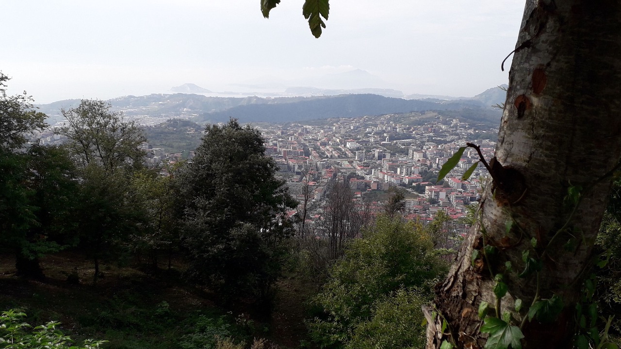 Photo of Outdoor in Naples