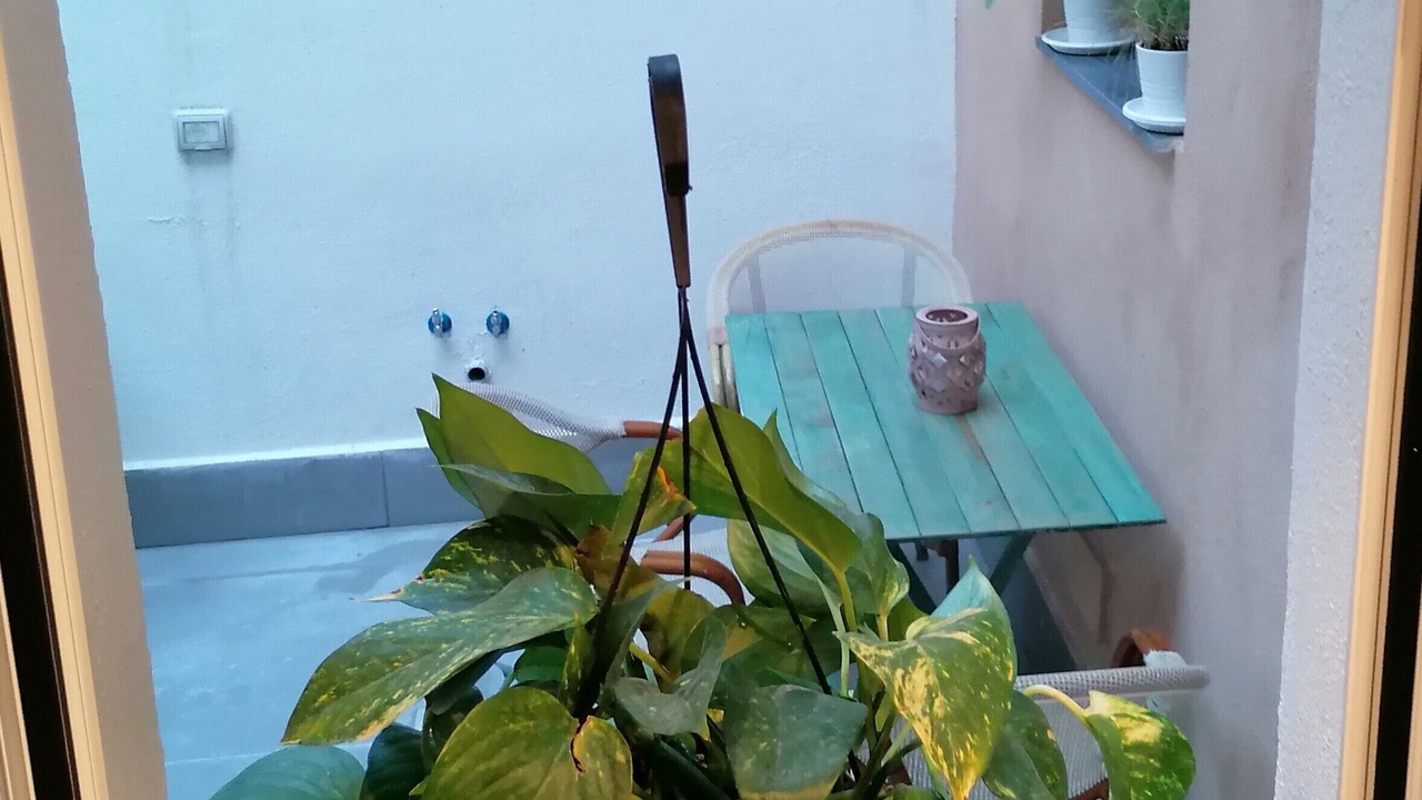 Photo of Others in Portici