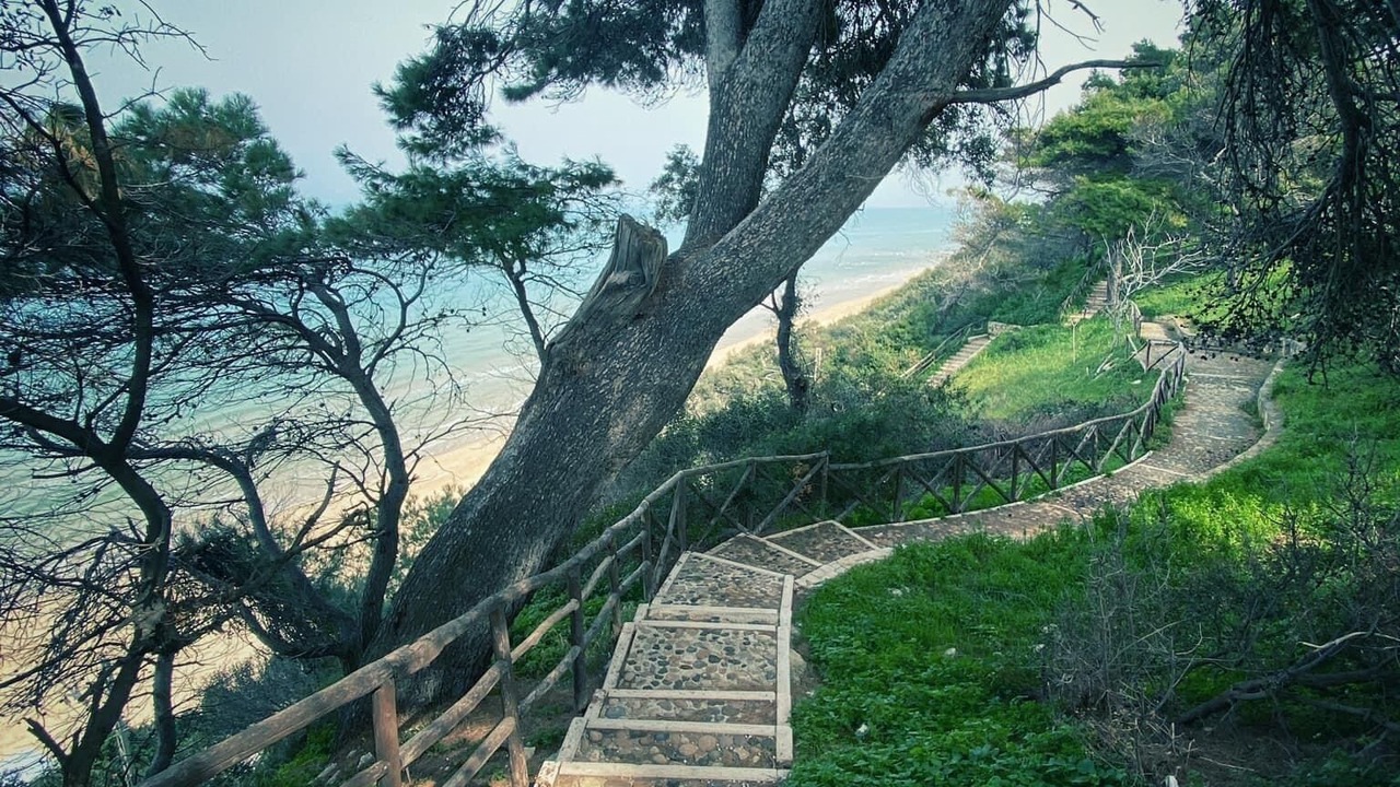 Photo of Outdoor in Vico del Gargano