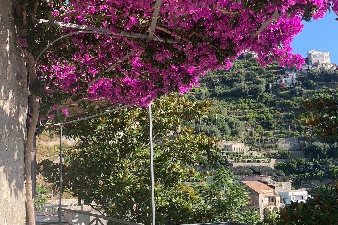 Photo of Outdoor in Ravello