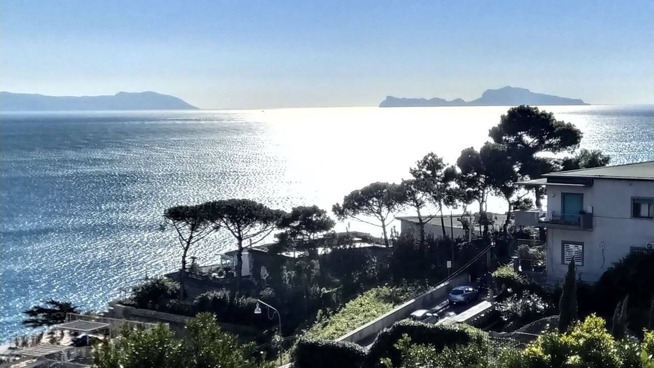 Photo of Others in Naples