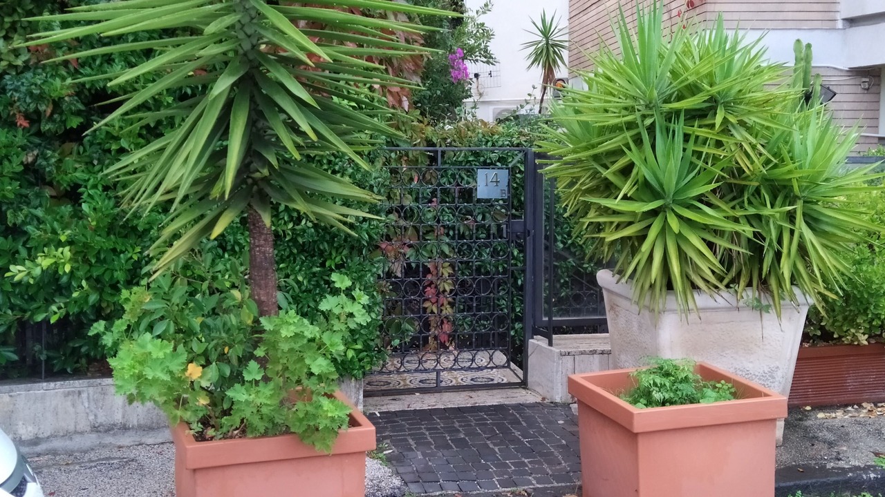 Photo of Outdoor in Naples