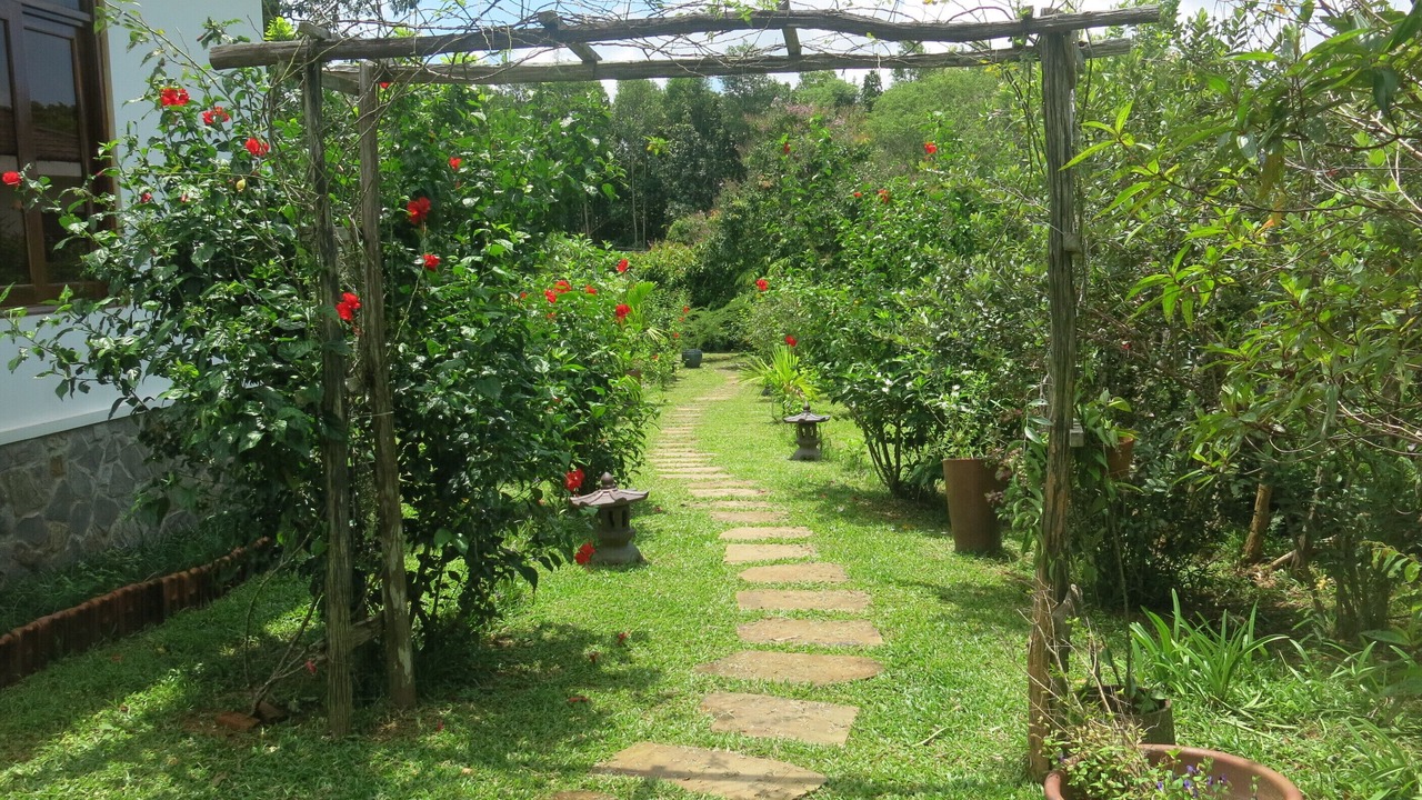 Photo of Outdoor in Duong Dong