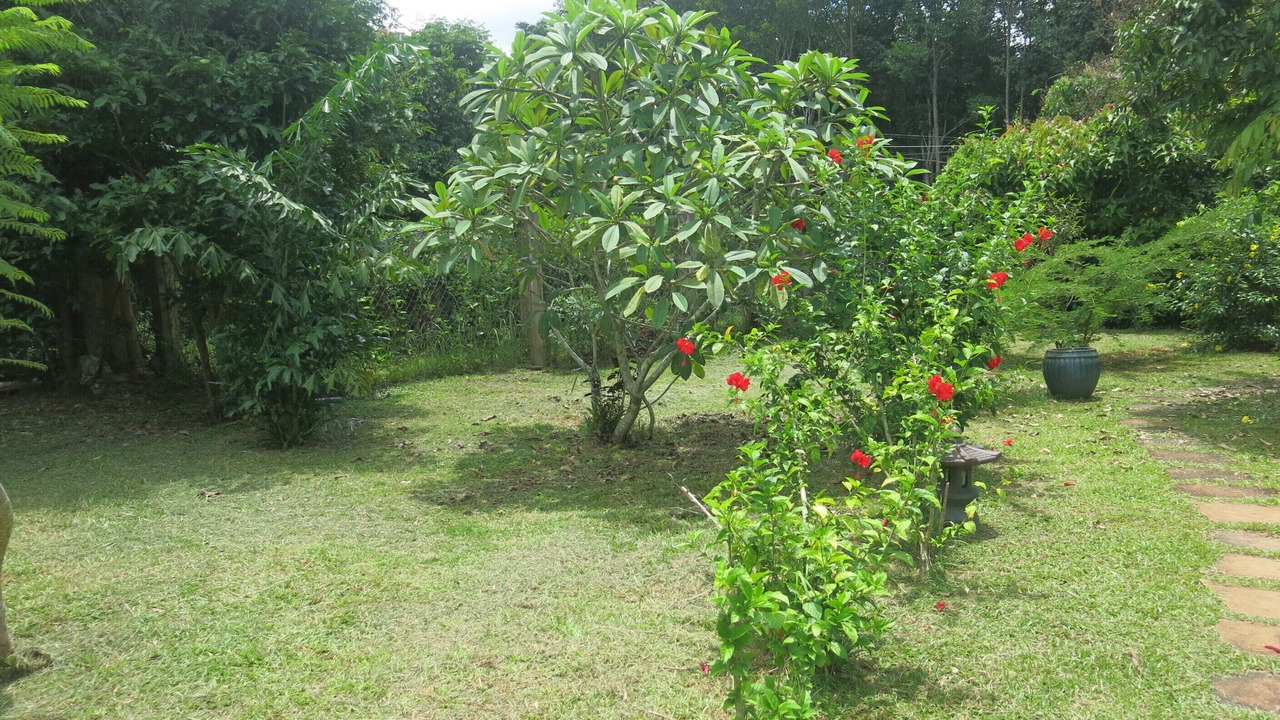 Photo of Outdoor in Duong Dong