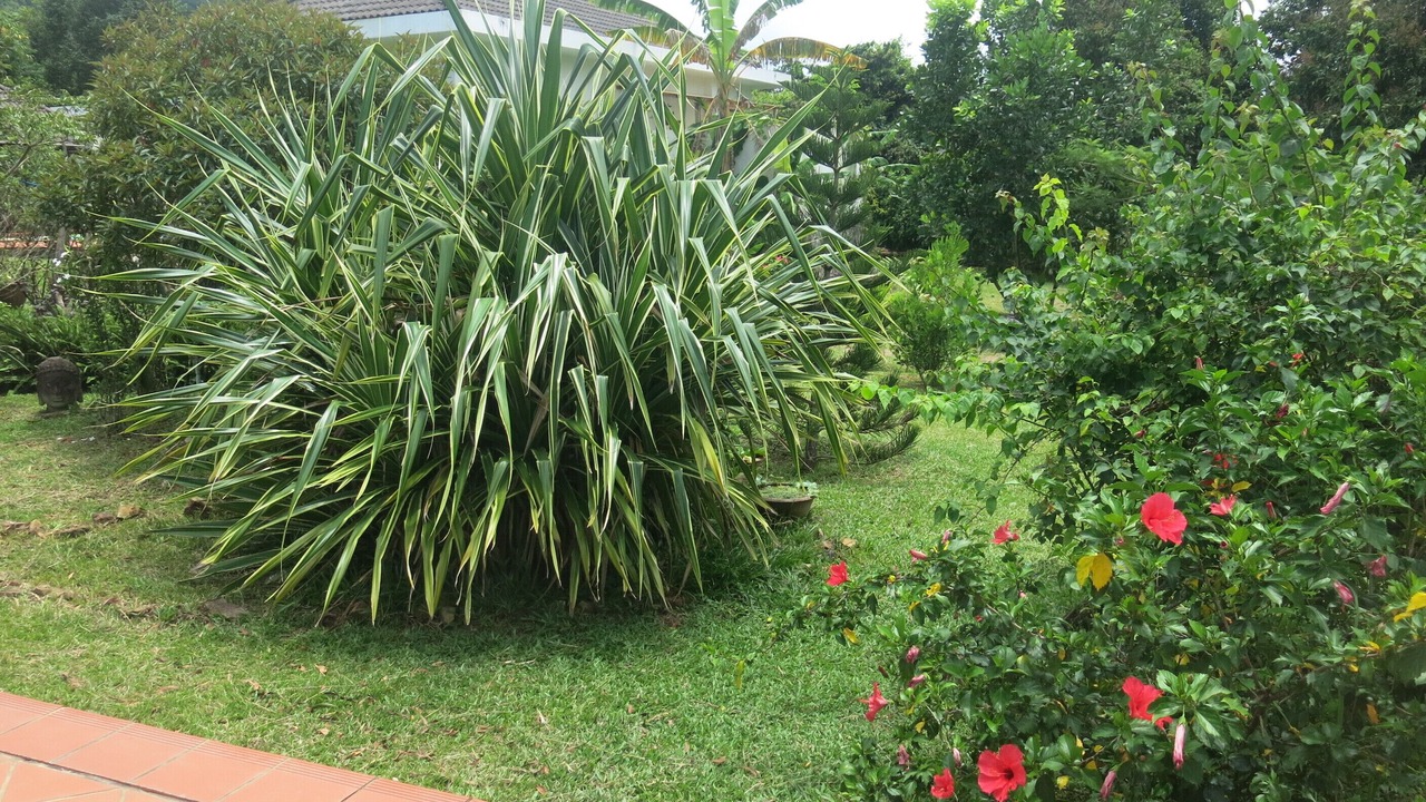 Photo of Outdoor in Duong Dong