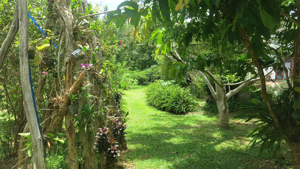 Photo of Outdoor in Duong Dong