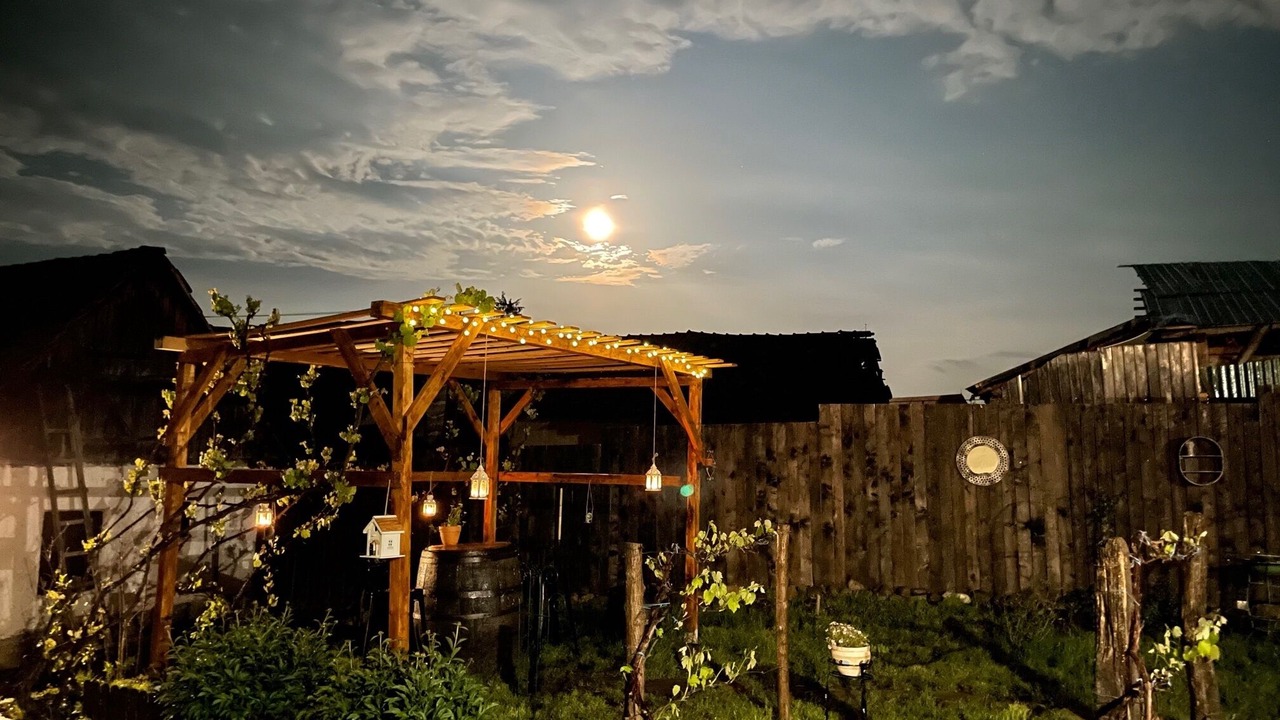 Photo of Outdoor in Saschiz