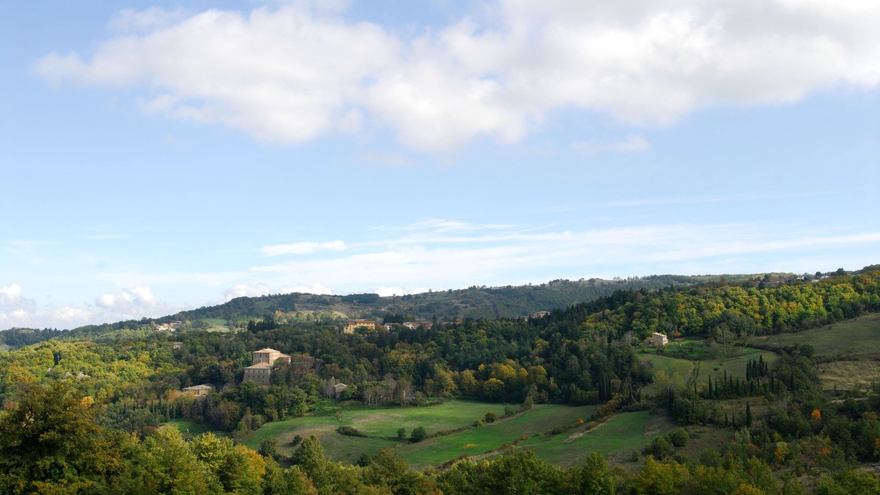 Photo of Others in Vivo dʼOrcia