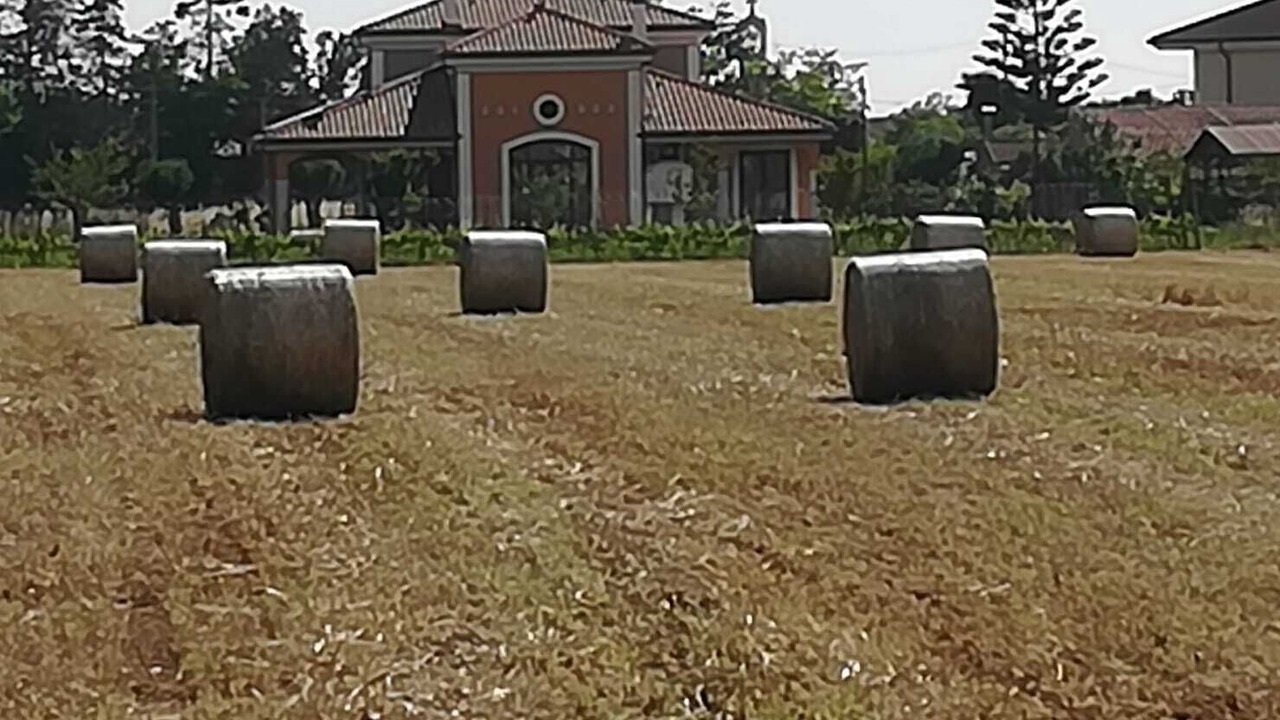 Photo of Outdoor in Capaccio Scalo
