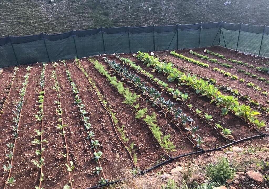 Photo of Outdoor in Itri