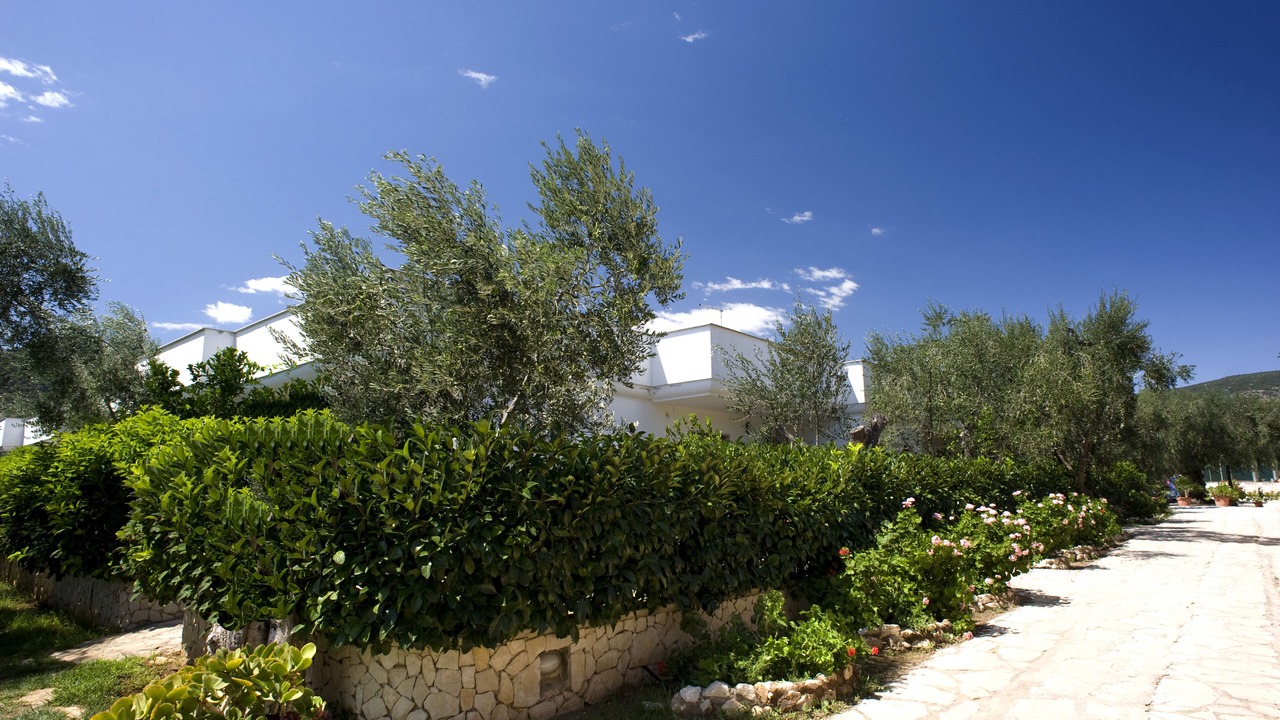 Photo of Outdoor in Mattinata