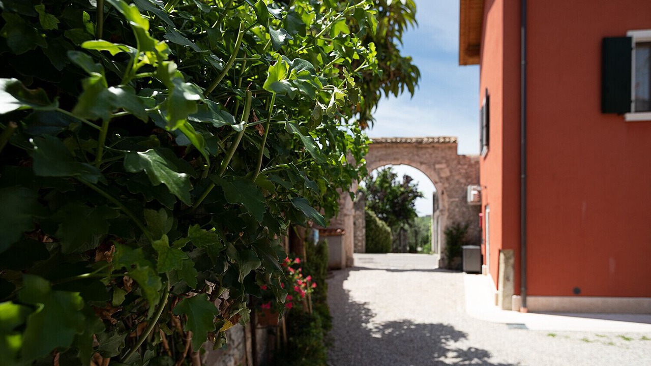 Photo of Outdoor in Bardolino