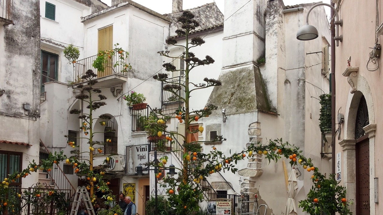 Photo of Outdoor in Rodi Garganico