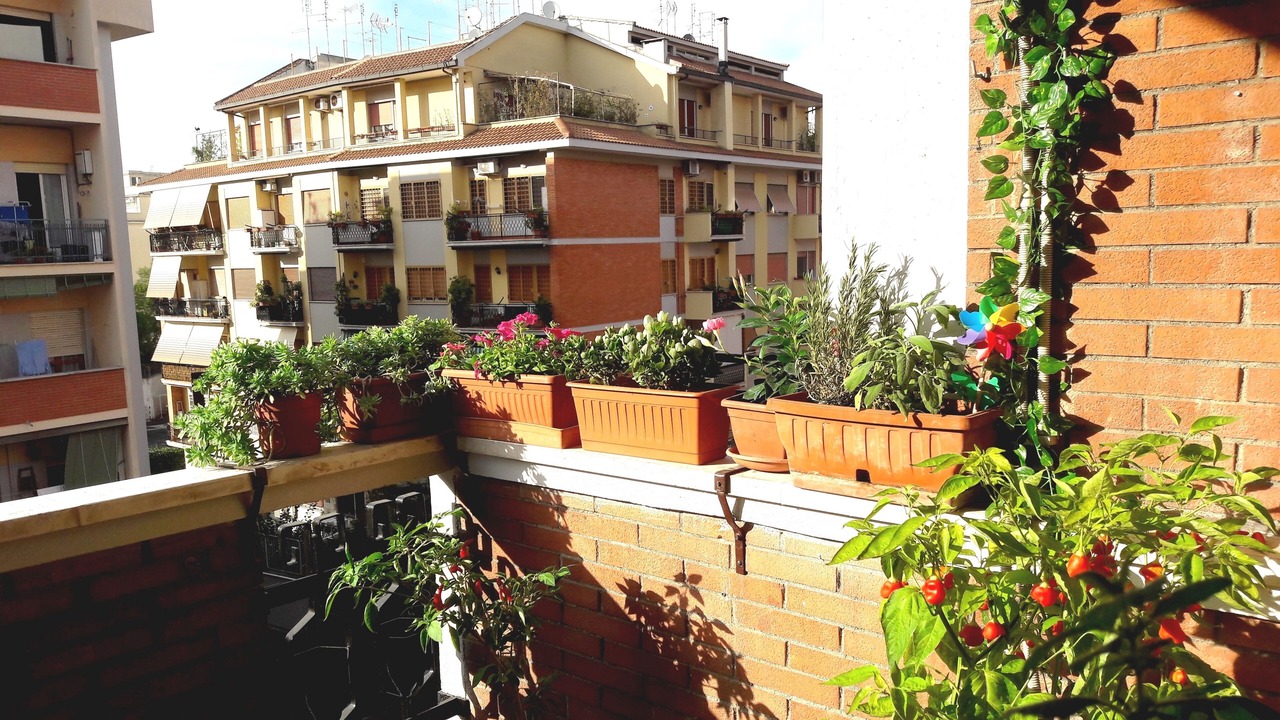 Photo of Outdoor in Tuscolano