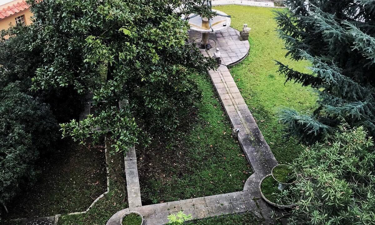 Photo of Outdoor in Lake Bracciano