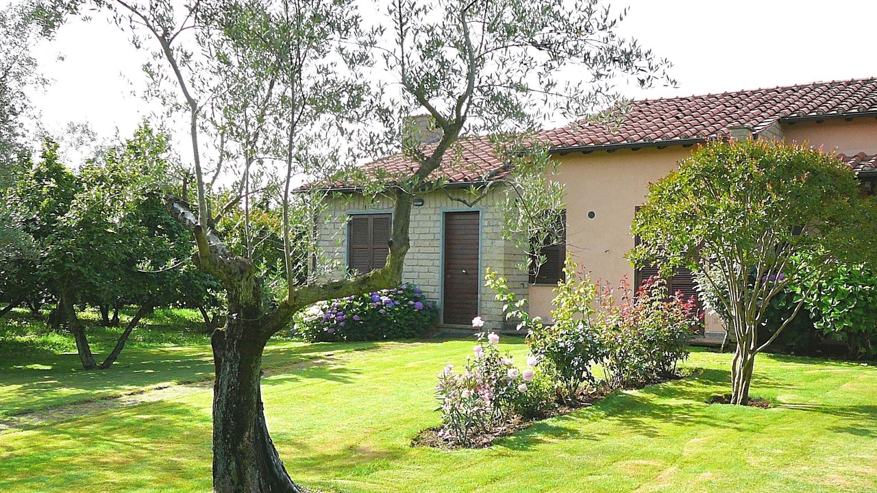 Photo of Outdoor in Capranica