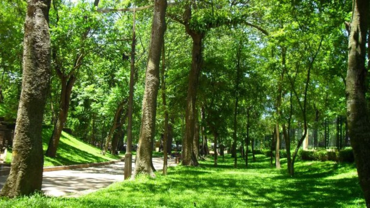 Photo of Outdoor in Ngoc Ha
