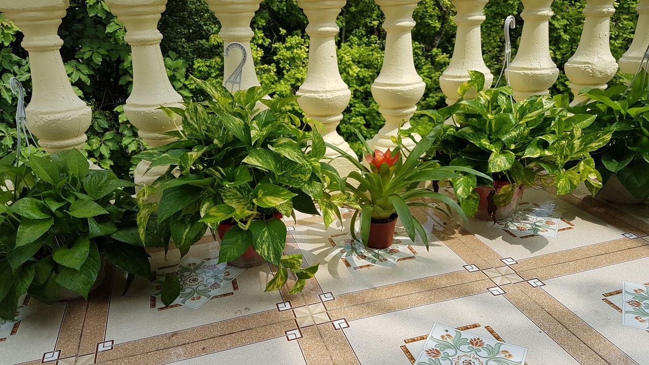 Photo of Outdoor in Ngoc Ha