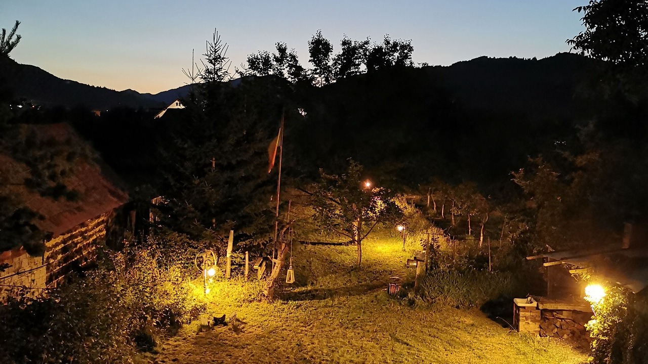 Photo of Outdoor in Zarnesti