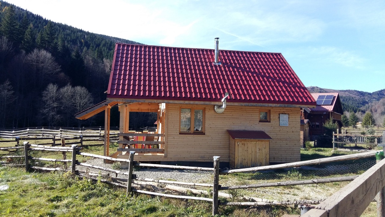 Photo of Outdoor in Zarnesti