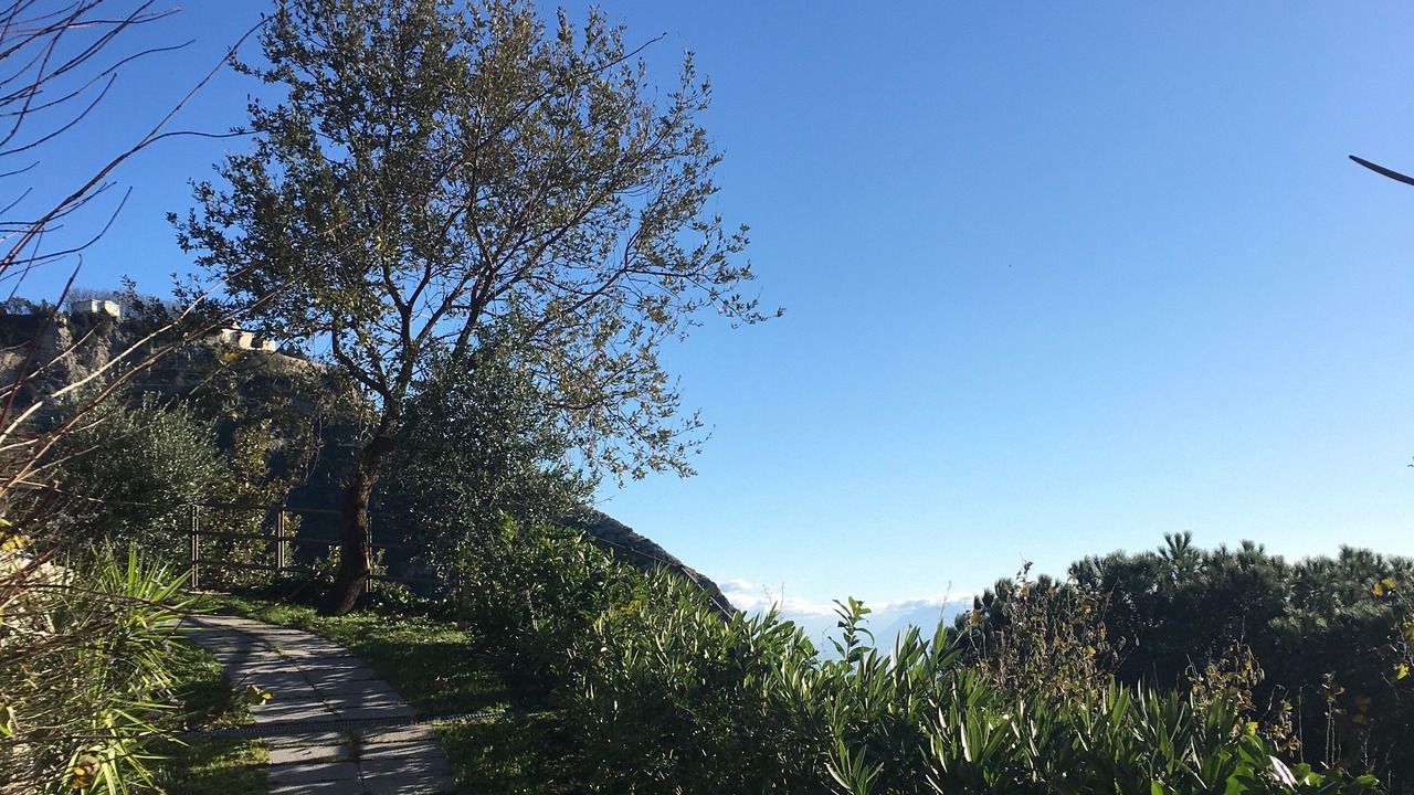 Photo of Outdoor in San Michele