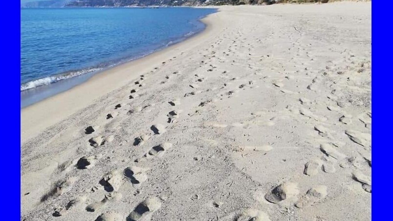 Photo of Others in Marina di Pisciotta