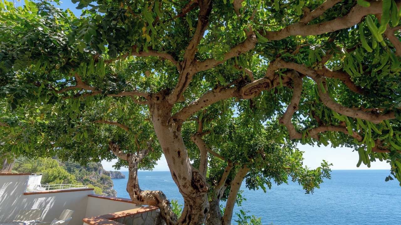 Photo of Outdoor in Conca dei Marini