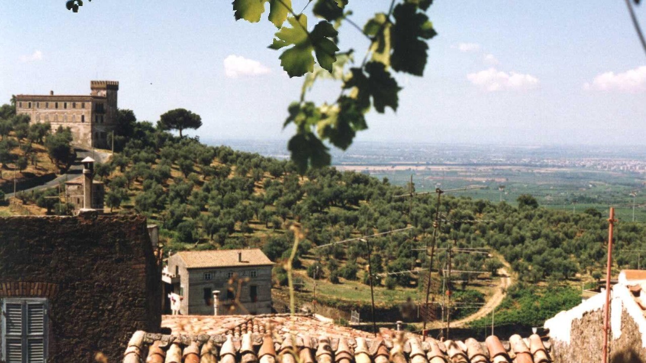 Photo of Others in Cori