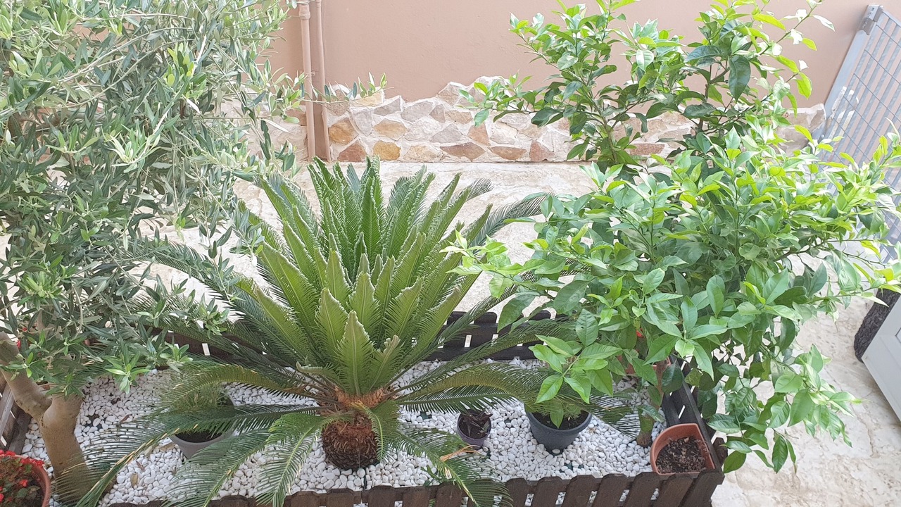 Photo of Outdoor in San Giacomo degli Schiavoni