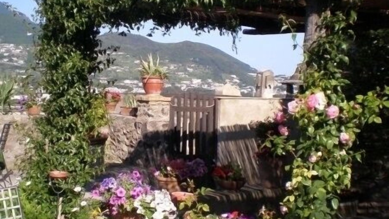 Photo of Outdoor in Ischia Porto