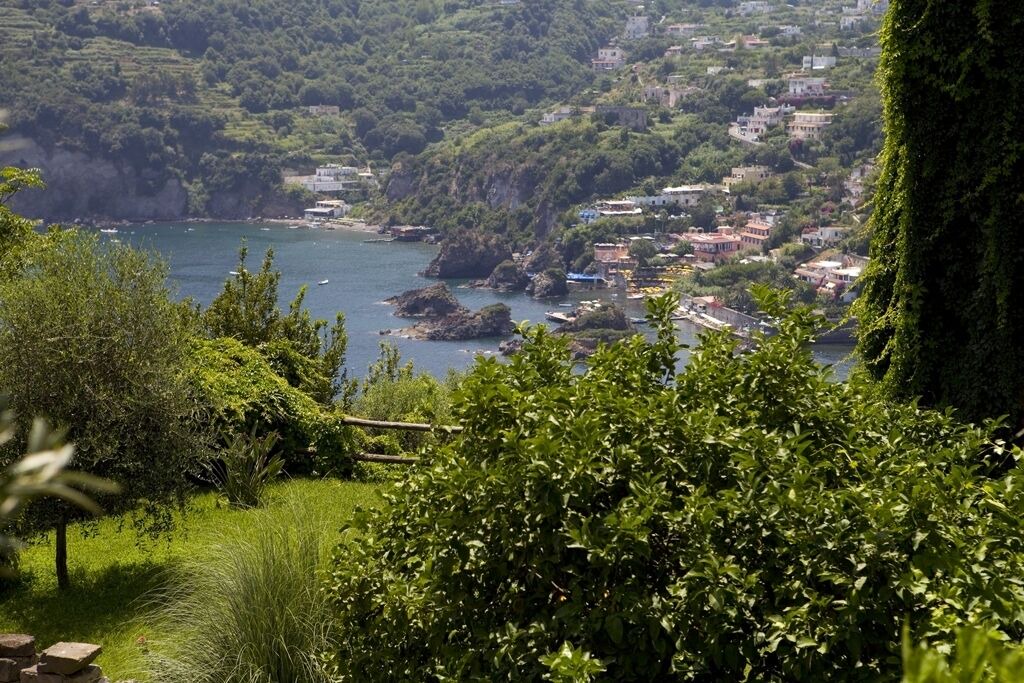 Photo of Outdoor in Ischia Porto