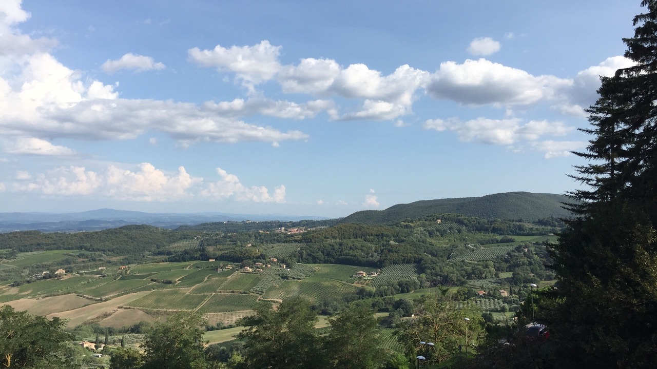 Photo of Others in Montepulciano