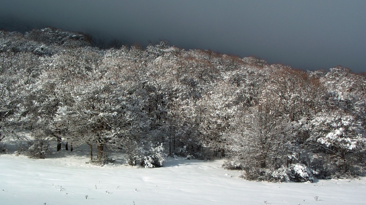 Photo of Outdoor in Pescocostanzo