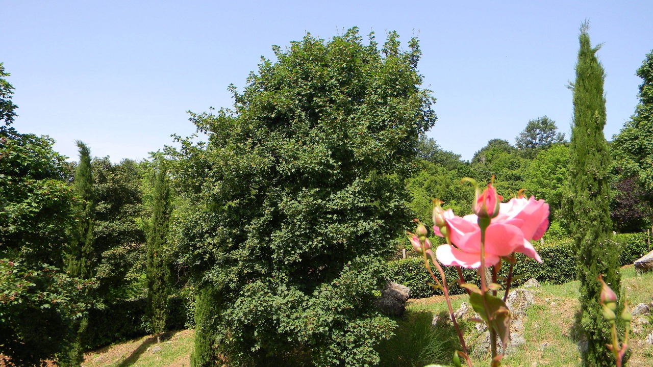 Photo of Outdoor in Castell'Azzara