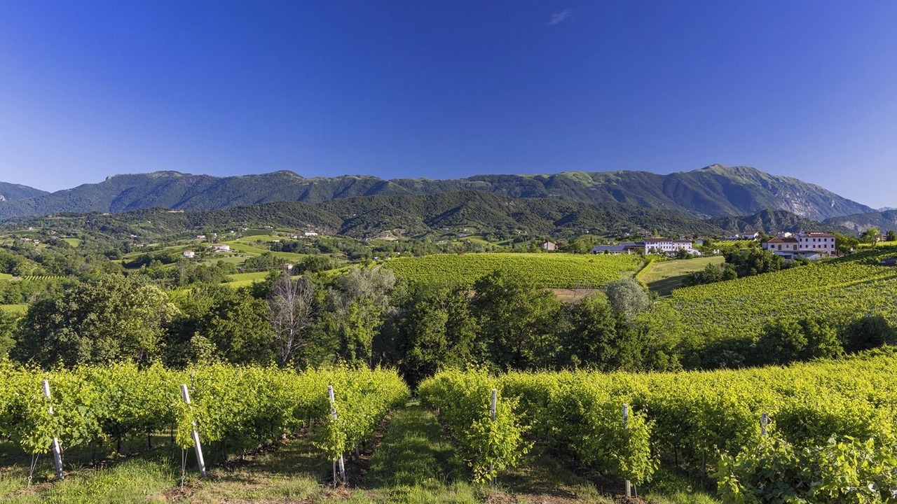 Photo of Others in Conegliano